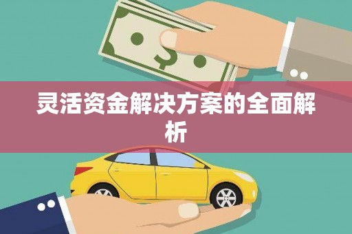 岱山灵活资金解决方案的全面解析