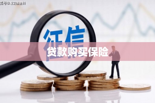 岱山贷款购买保险