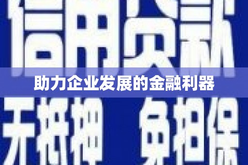 岱山助力企业发展的金融利器