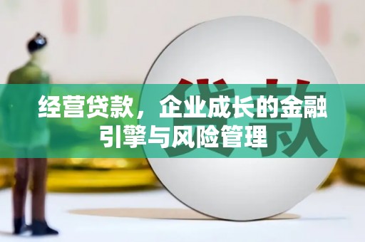 岱山经营贷款，企业成长的金融引擎与风险管理