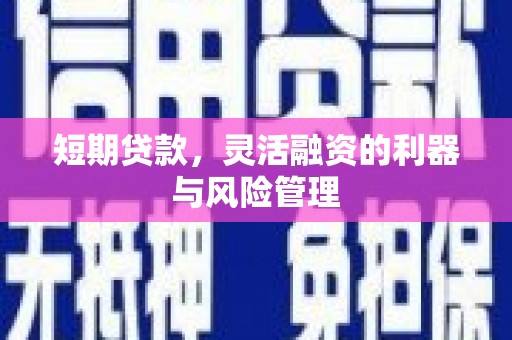 岱山短期贷款，灵活融资的利器与风险管理