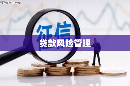 岱山贷款风险管理