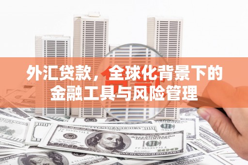 岱山外汇贷款，全球化背景下的金融工具与风险管理