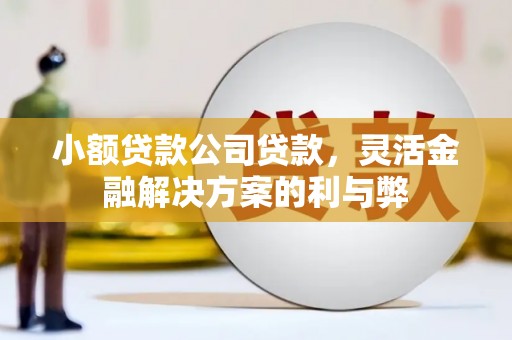岱山小额贷款公司贷款，灵活金融解决方案的利与弊