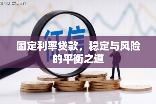岱山固定利率贷款，稳定与风险的平衡之道