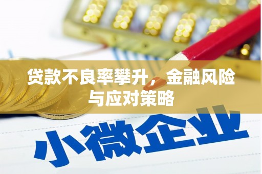 岱山贷款不良率攀升，金融风险与应对策略