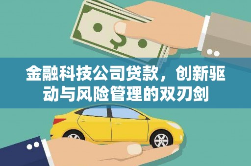 岱山金融科技公司贷款，创新驱动与风险管理的双刃剑