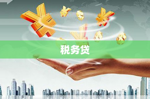 岱山税务贷