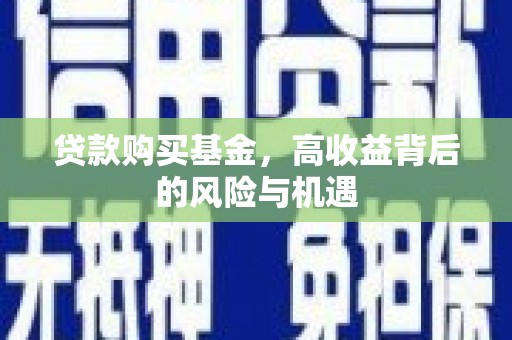 岱山贷款购买基金，高收益背后的风险与机遇